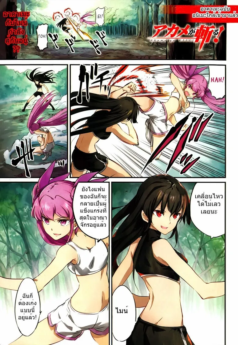 Akame ga Kill! - หน้า 3