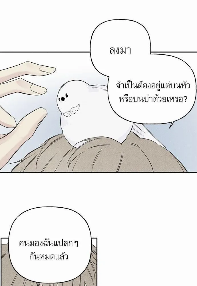 Angel Buddy - หน้า 27