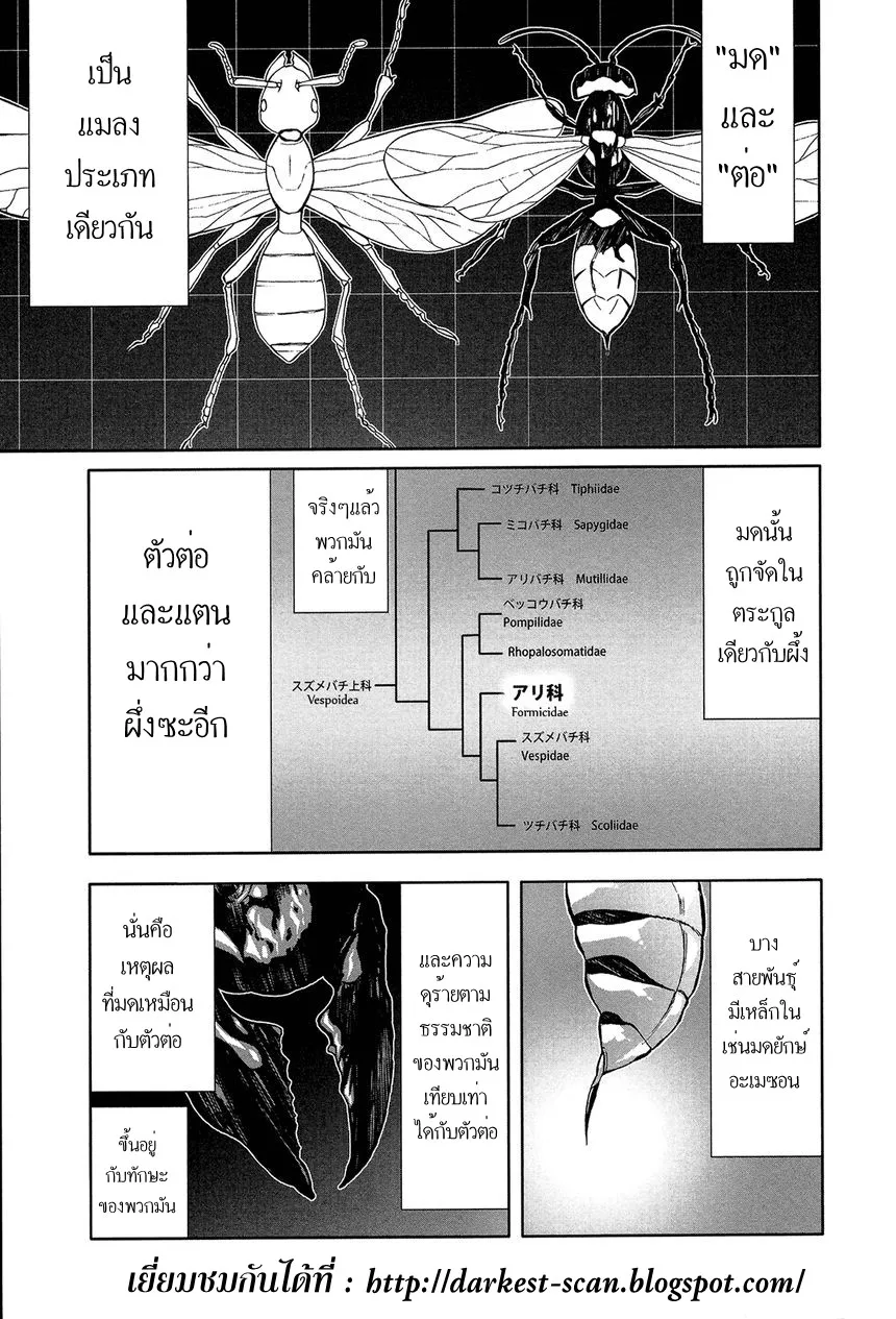 Arachnid มือสังหารสายพันธุ์แมงมุม - หน้า 12