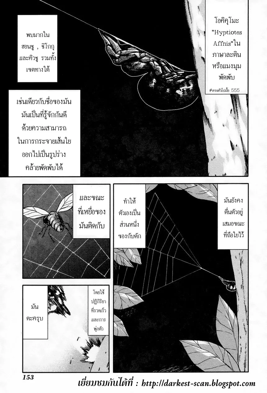 Arachnid มือสังหารสายพันธุ์แมงมุม - หน้า 12