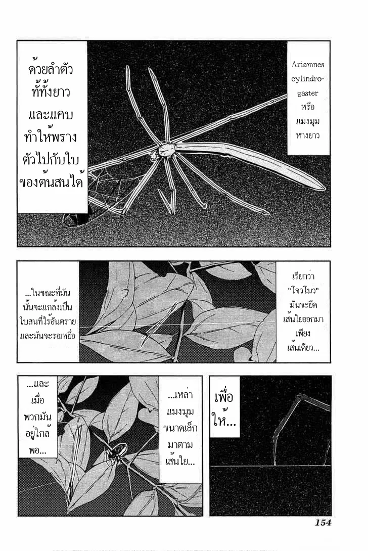 Arachnid มือสังหารสายพันธุ์แมงมุม - หน้า 4