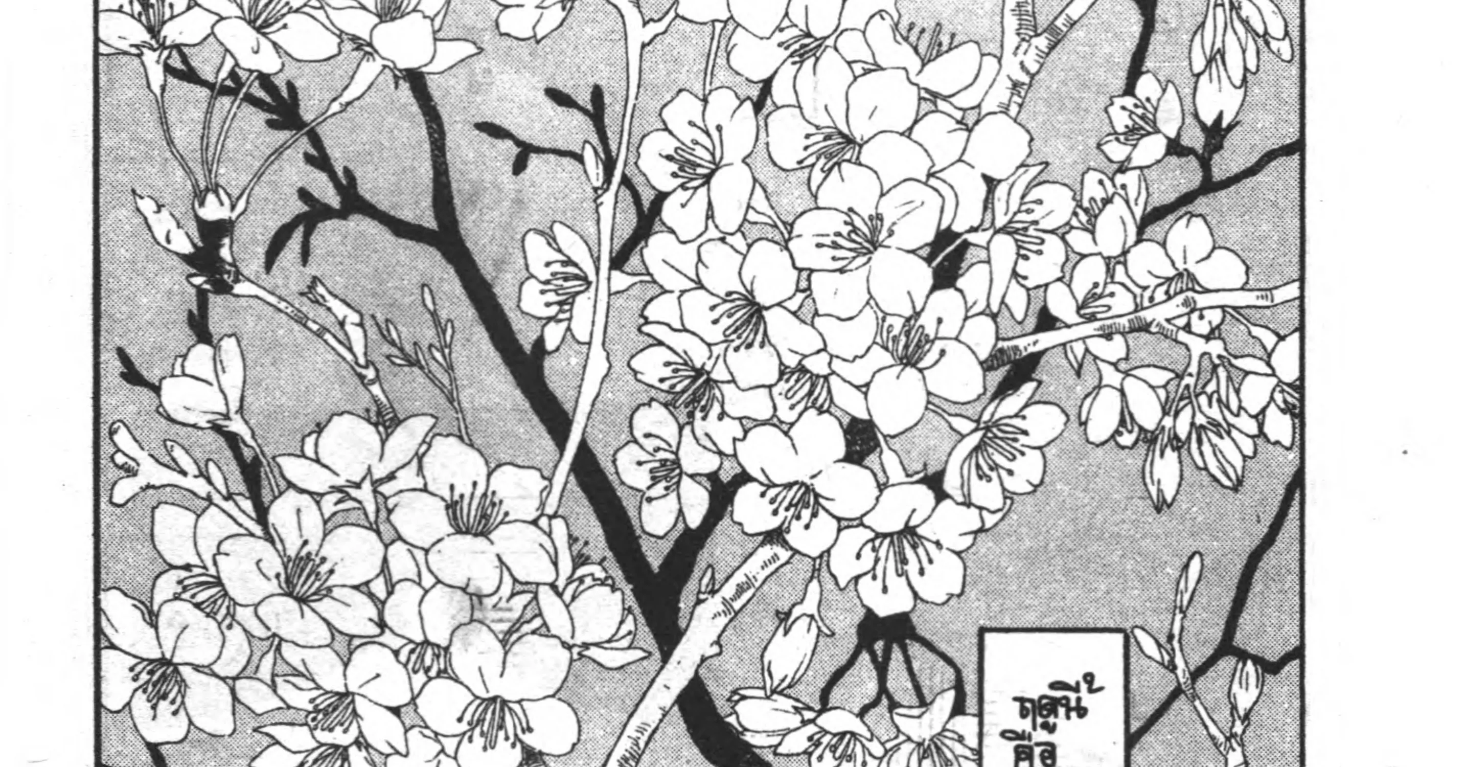 Bonbonzaka Koukou Engekibu - หน้า 19