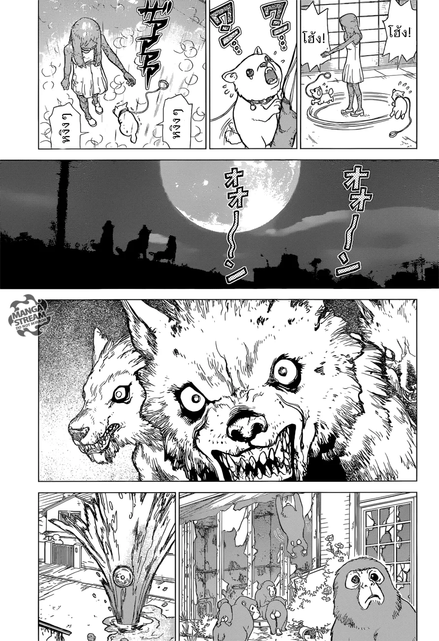 Dr. Stone - หน้า 22