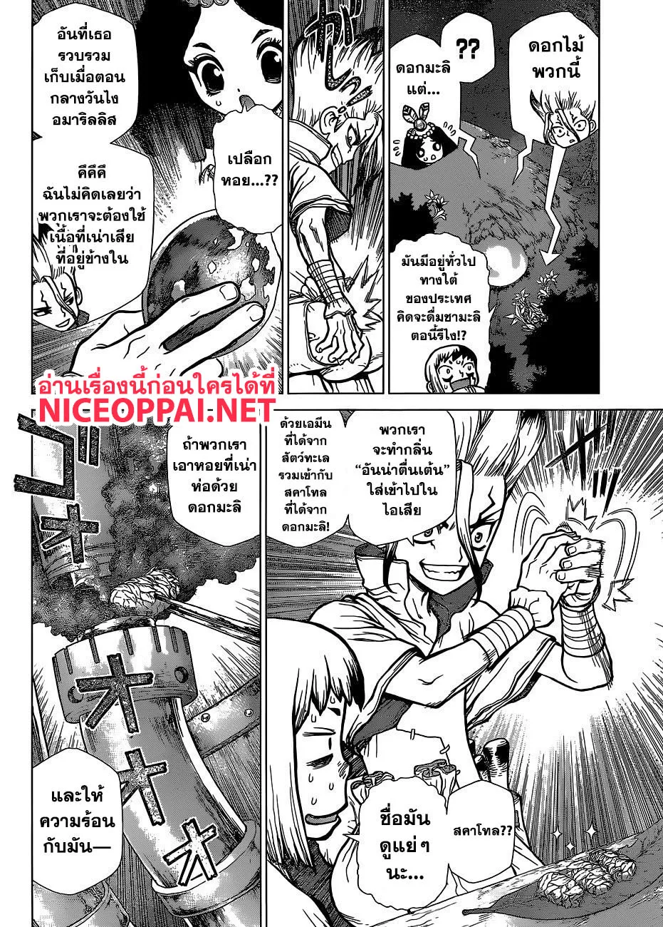 Dr. Stone - หน้า 15