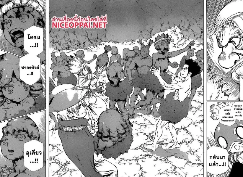 Dr. Stone - หน้า 13