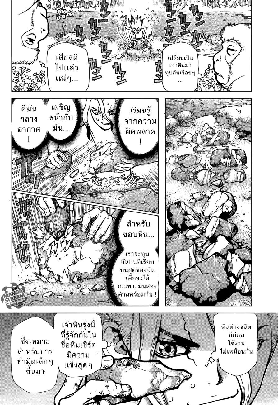 Dr. Stone - หน้า 10