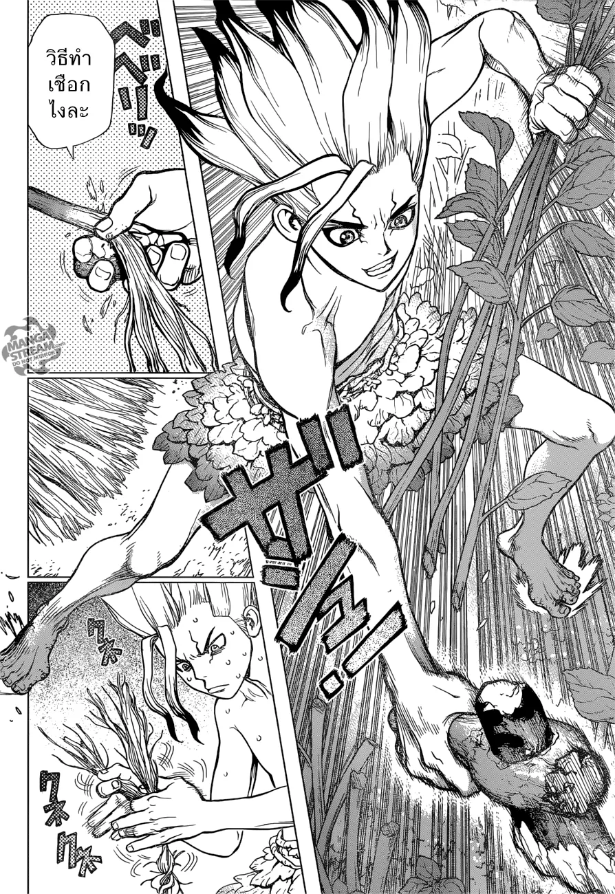 Dr. Stone - หน้า 12