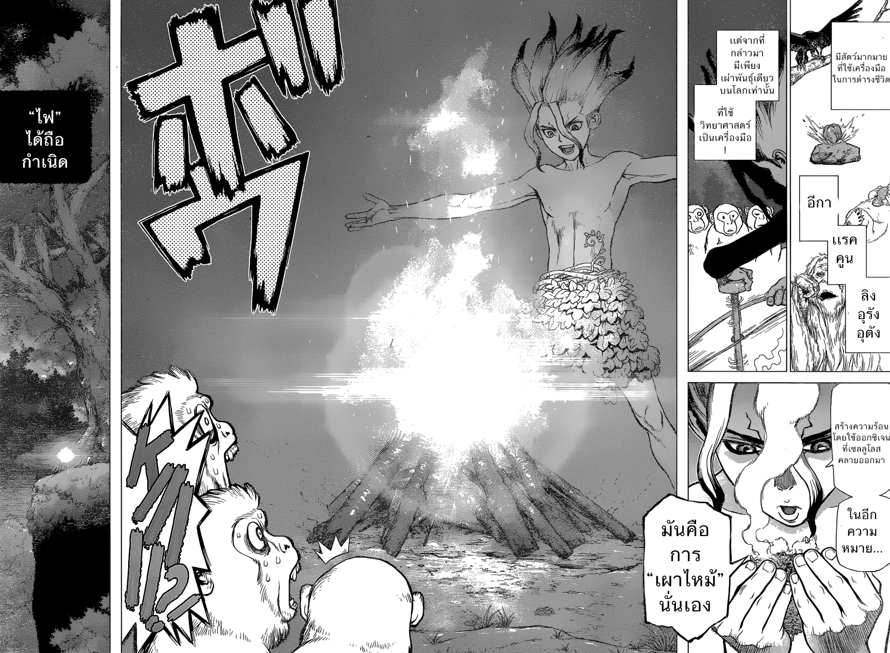 Dr. Stone - หน้า 14