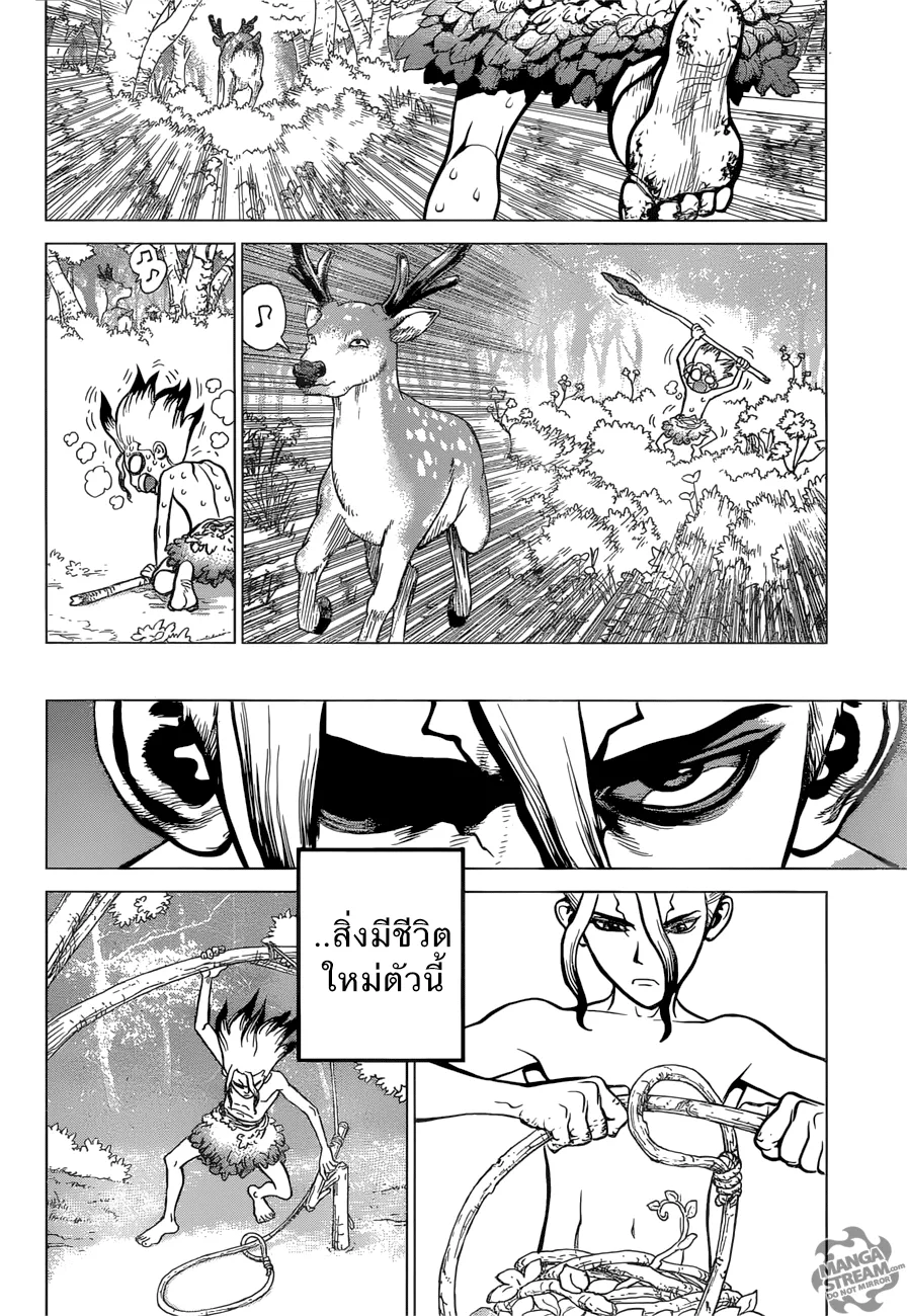 Dr. Stone - หน้า 15