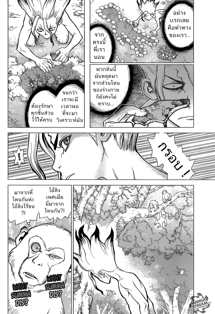 Dr. Stone - หน้า 3