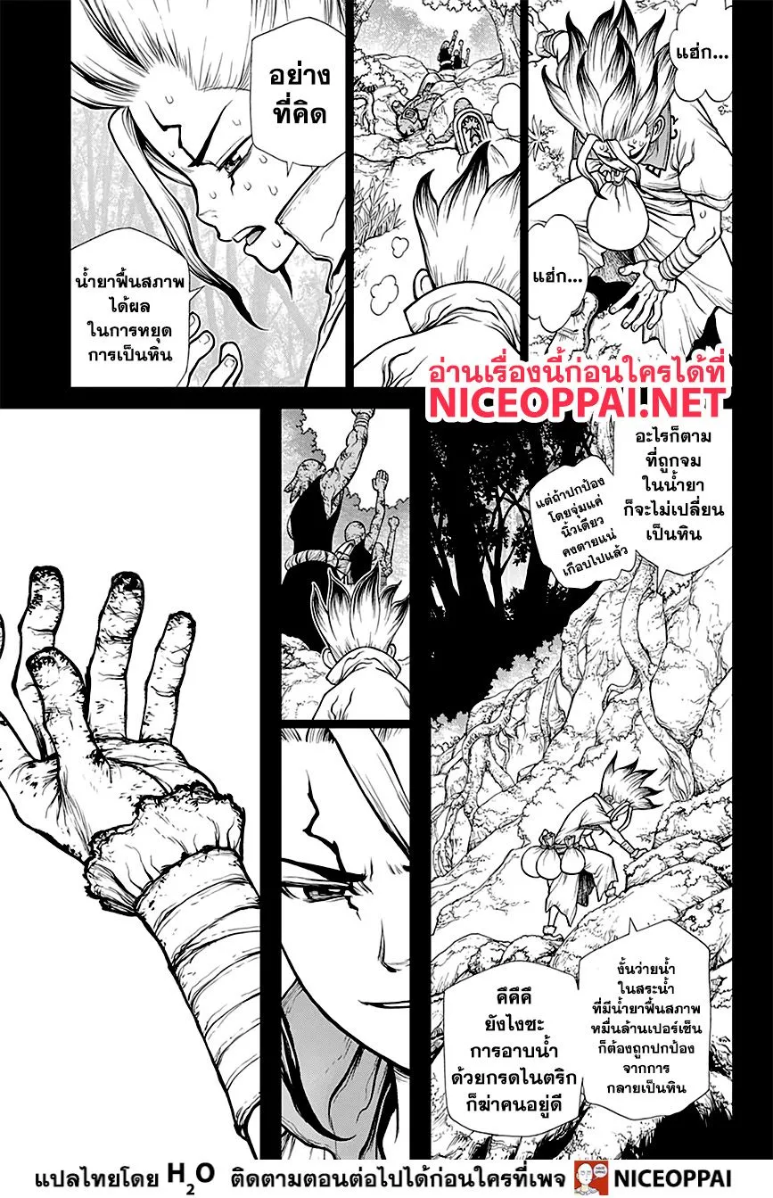 Dr. Stone - หน้า 12