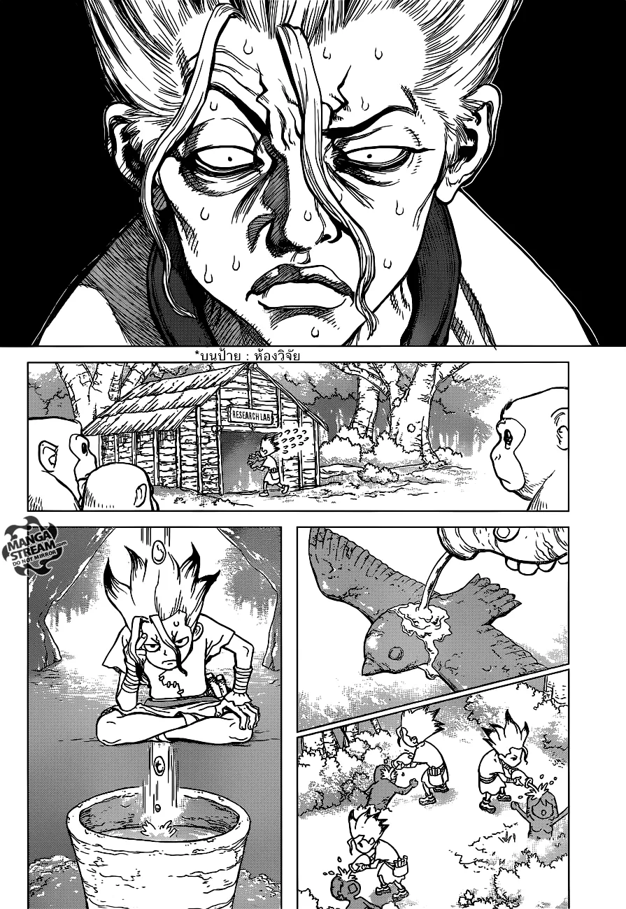 Dr. Stone - หน้า 10