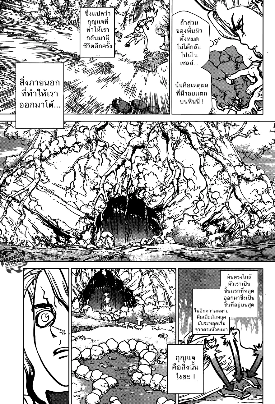 Dr. Stone - หน้า 7