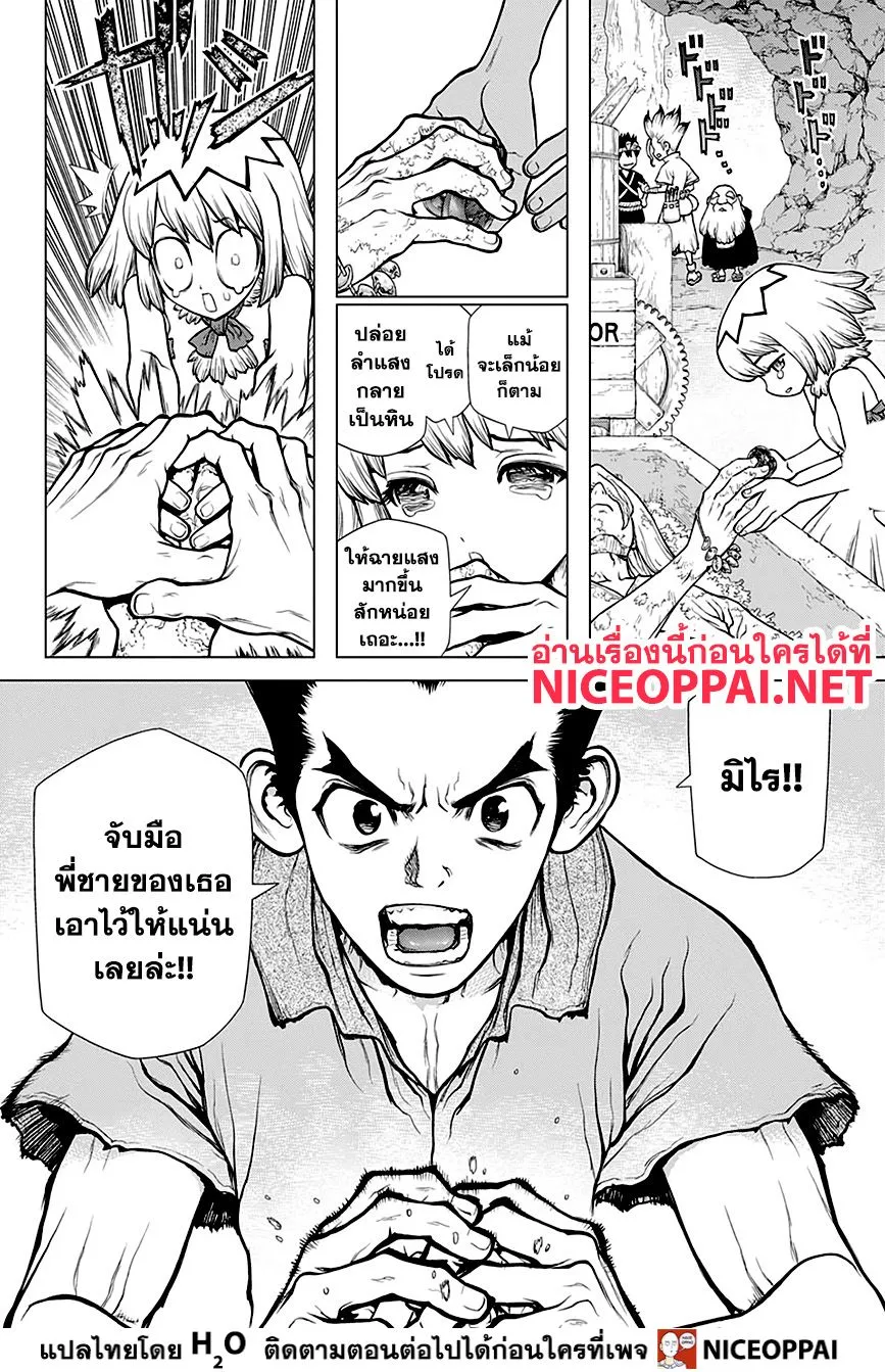 Dr. Stone - หน้า 8