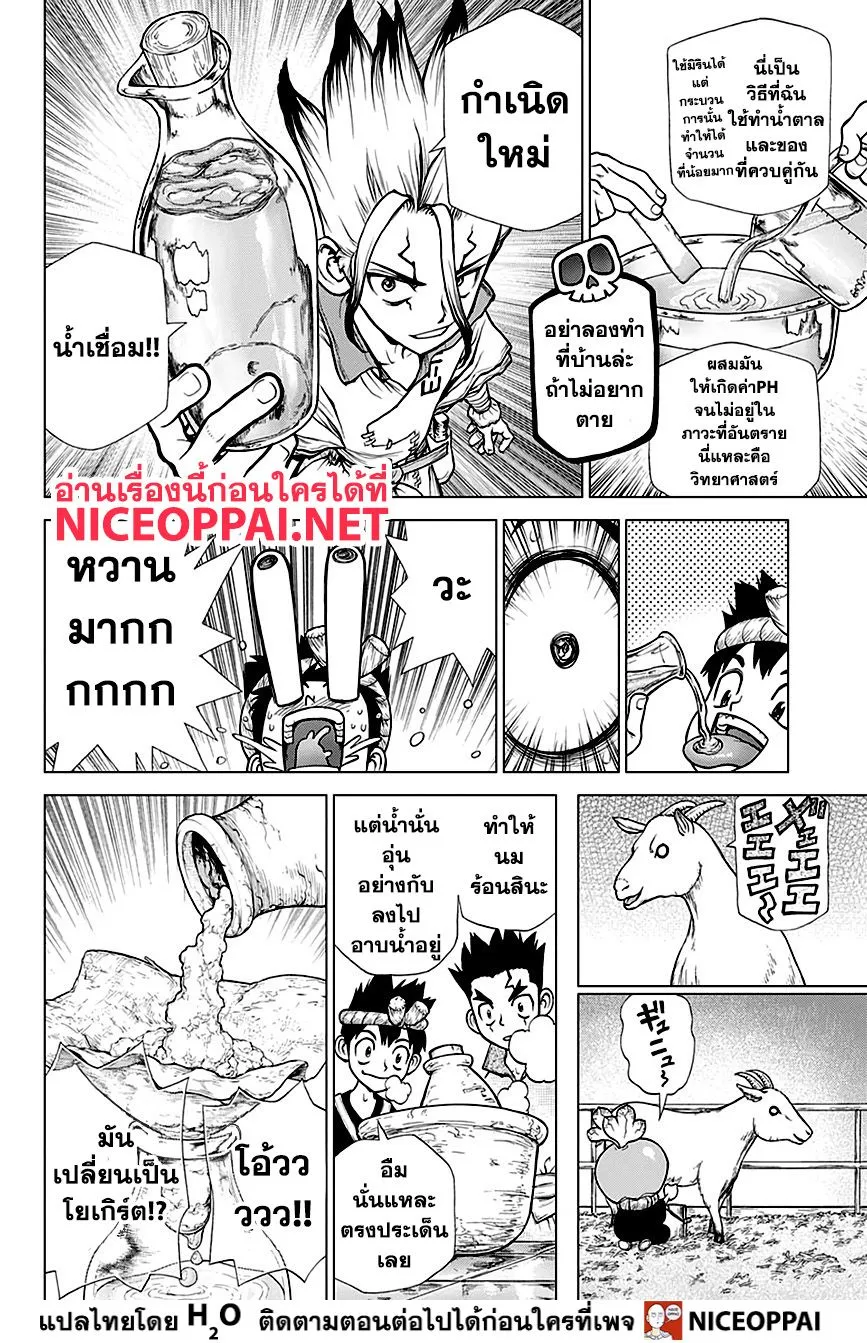 Dr. Stone - หน้า 7