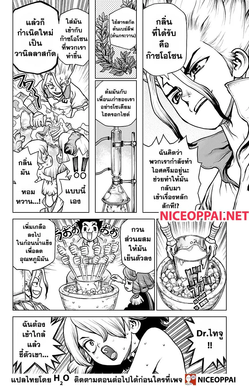 Dr. Stone - หน้า 13