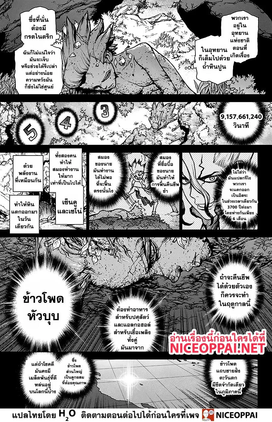 Dr. Stone - หน้า 14