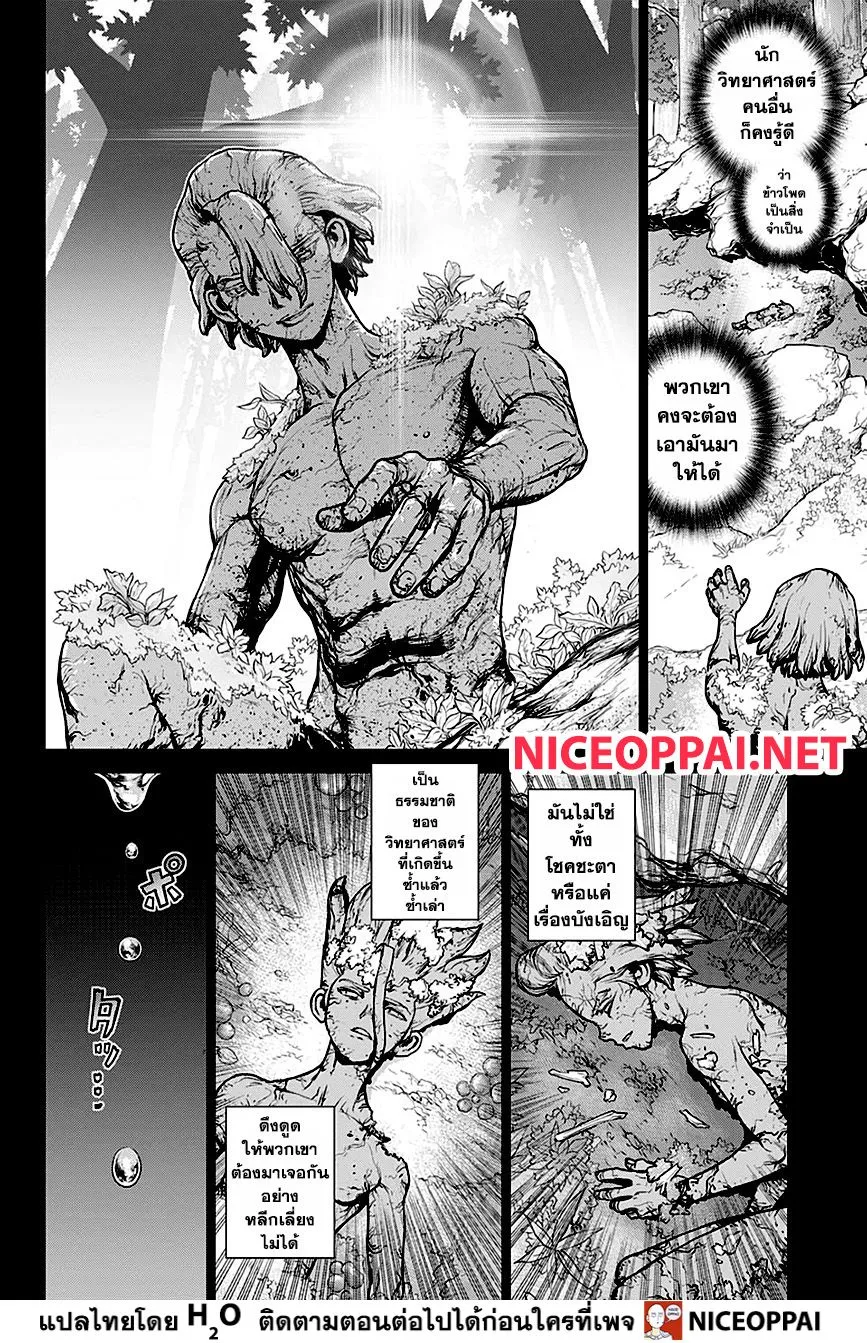 Dr. Stone - หน้า 15