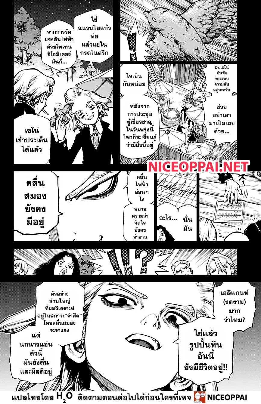 Dr. Stone - หน้า 7