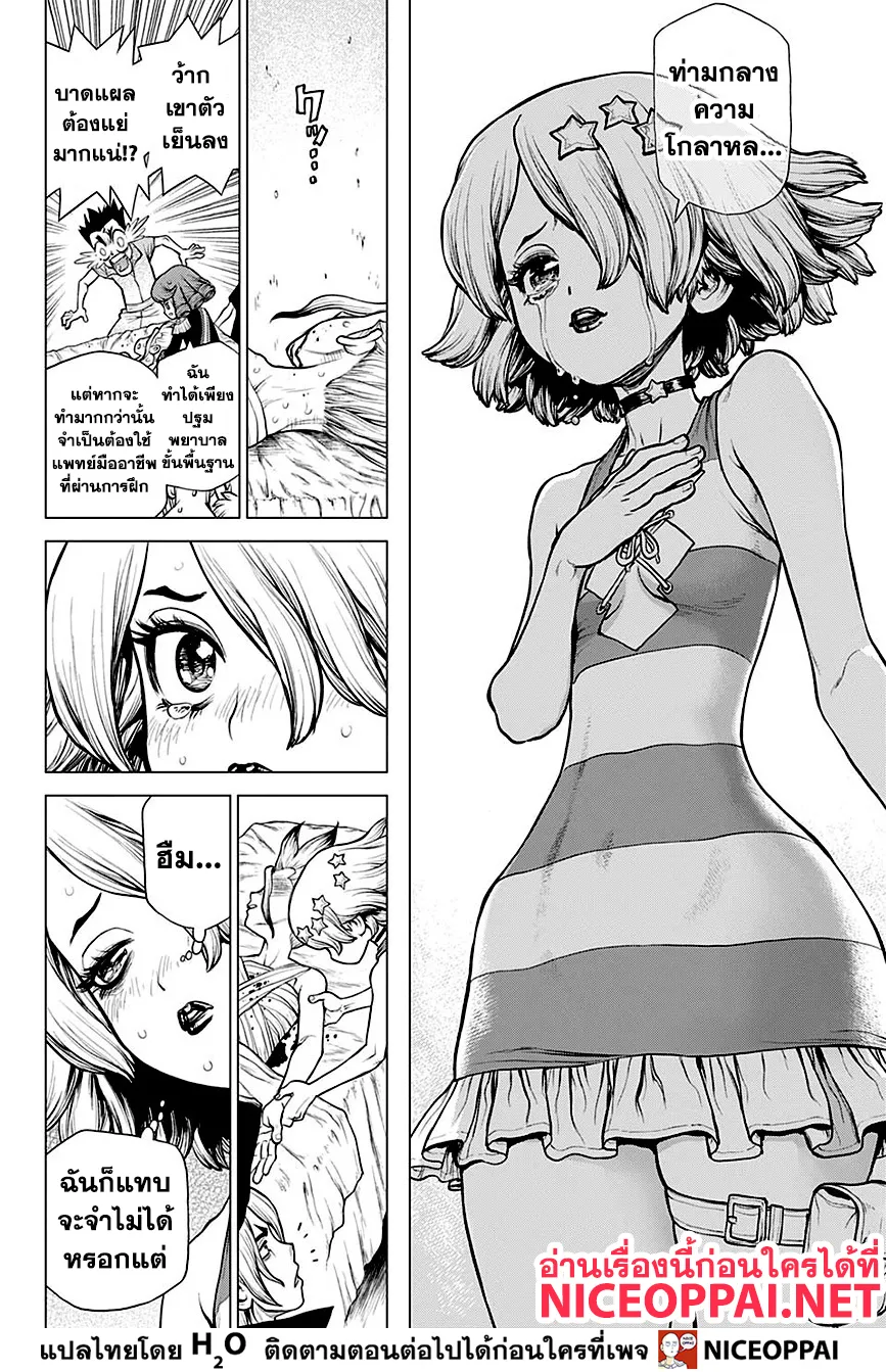 Dr. Stone - หน้า 8