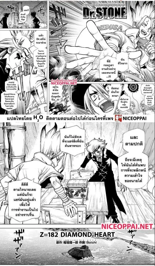 Dr. Stone - หน้า 3