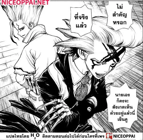 Dr. Stone - หน้า 8