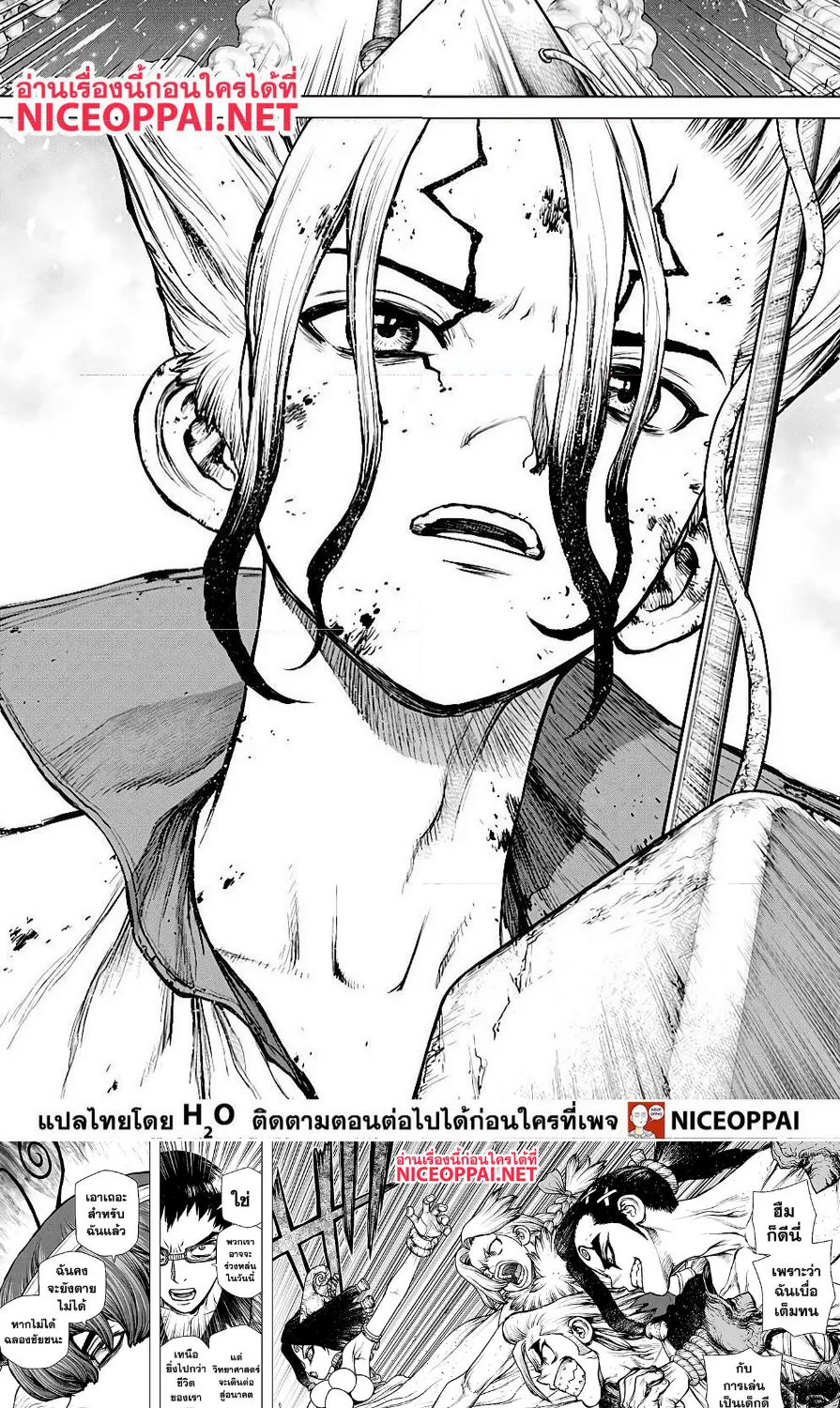 Dr. Stone - หน้า 13