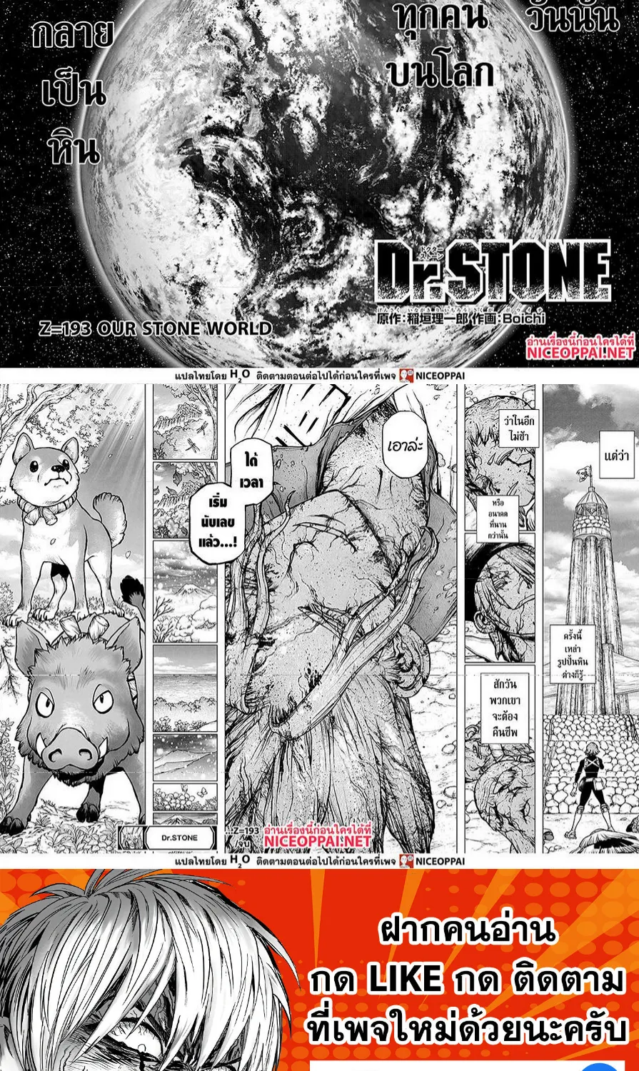 Dr. Stone - หน้า 14