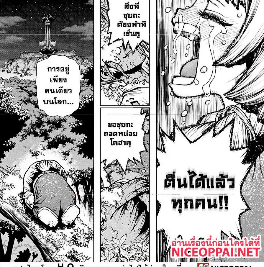 Dr. Stone - หน้า 12