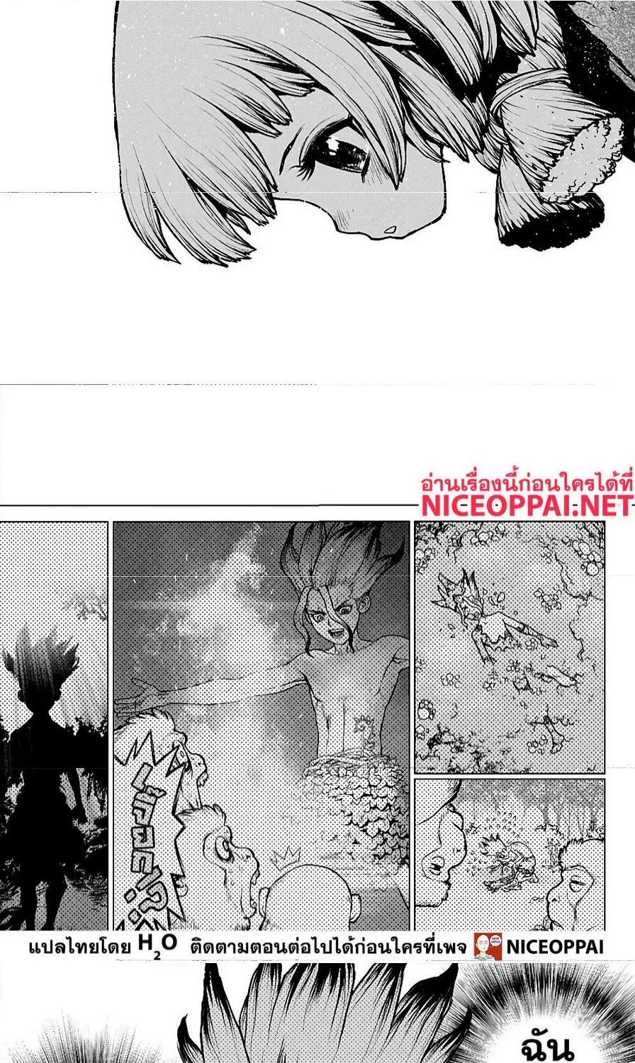 Dr. Stone - หน้า 13