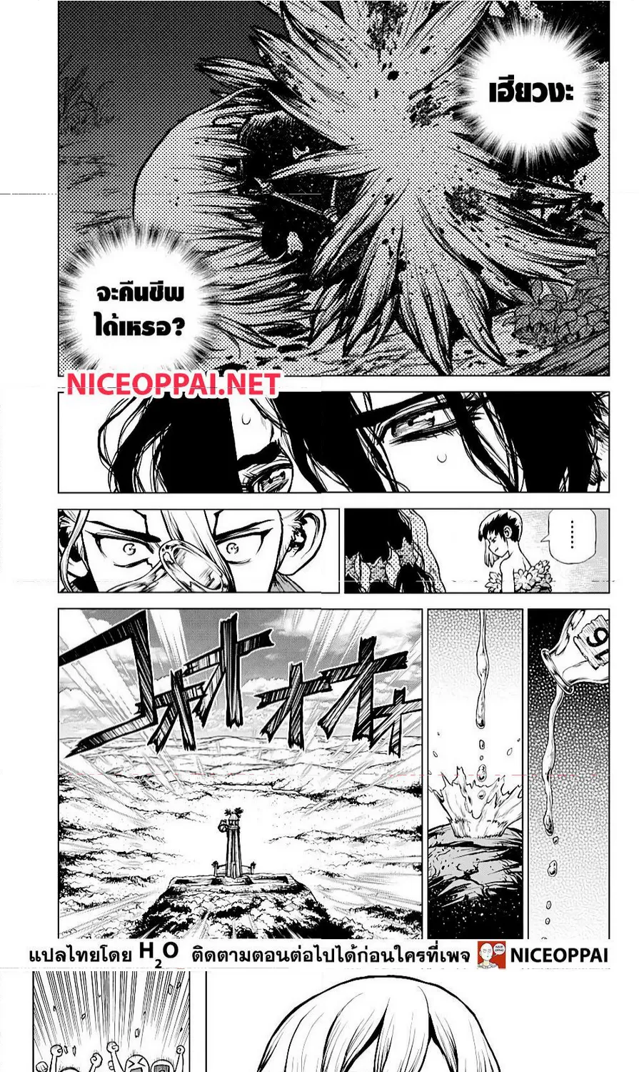 Dr. Stone - หน้า 8