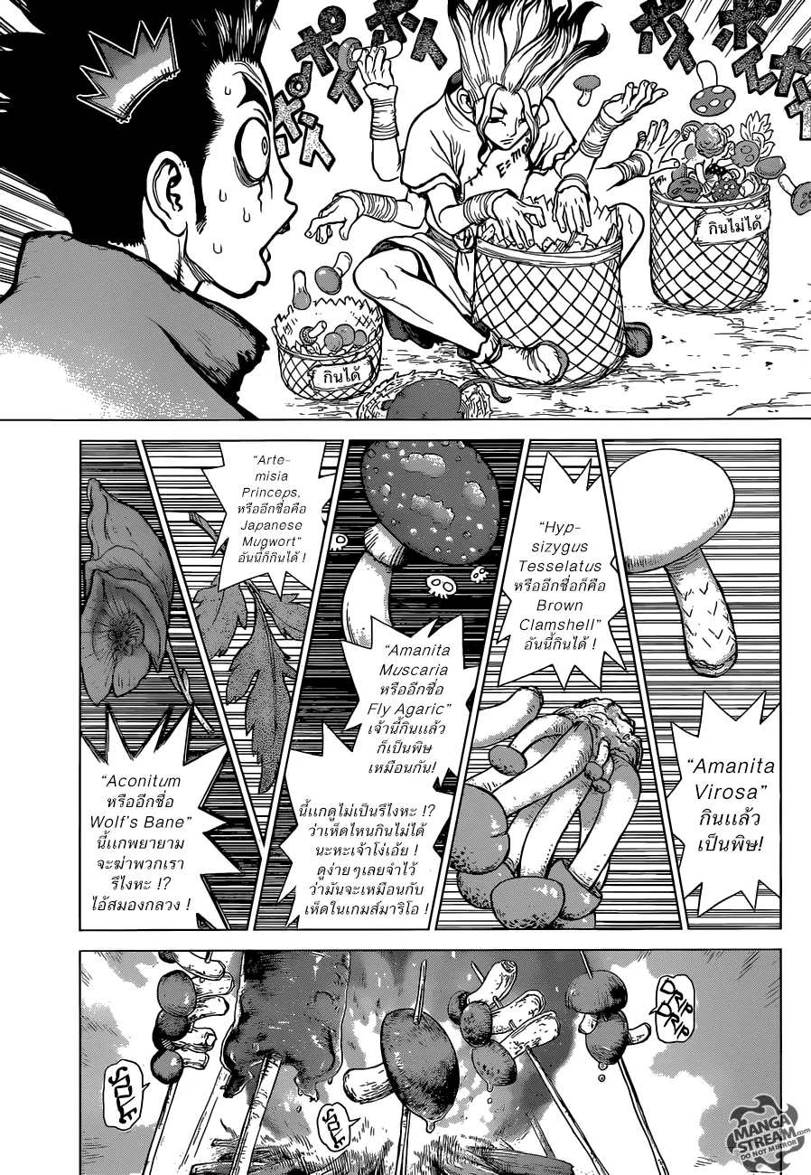 Dr. Stone - หน้า 2