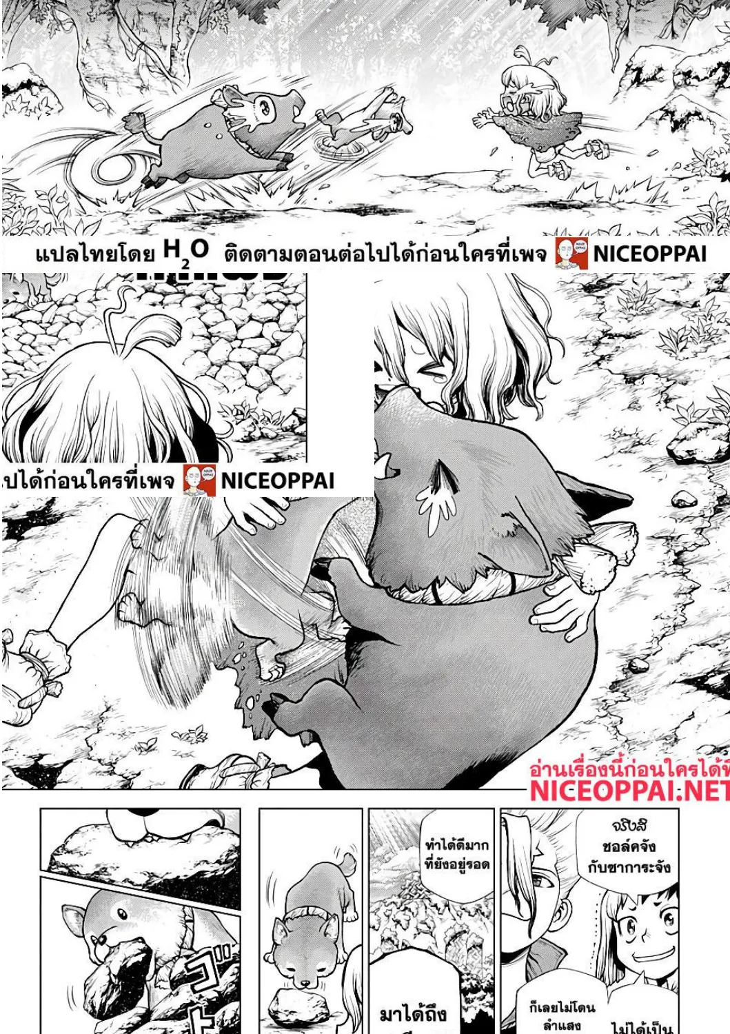 Dr. Stone - หน้า 11