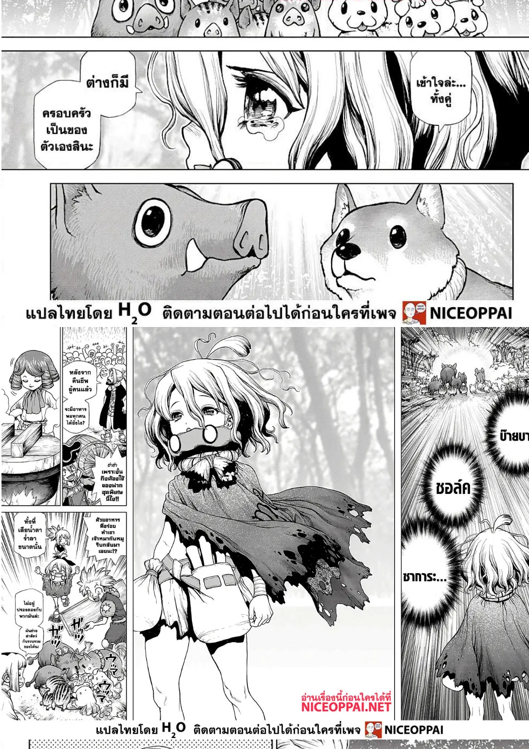 Dr. Stone - หน้า 13