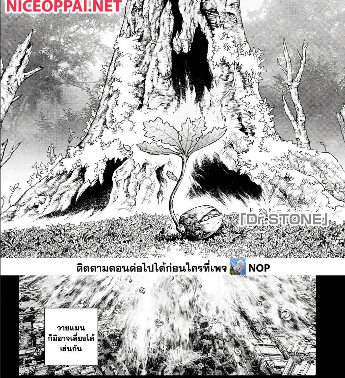 Dr. Stone - หน้า 2