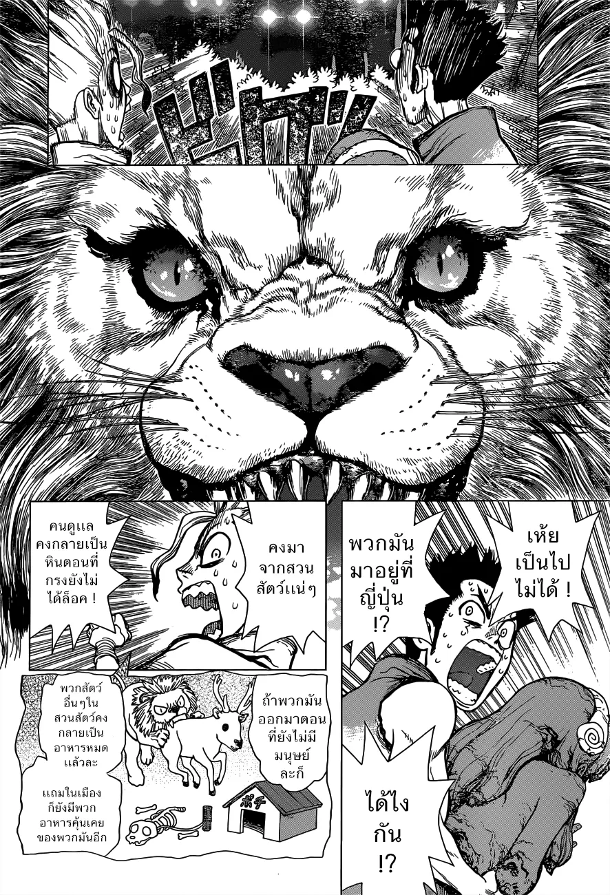 Dr. Stone - หน้า 5