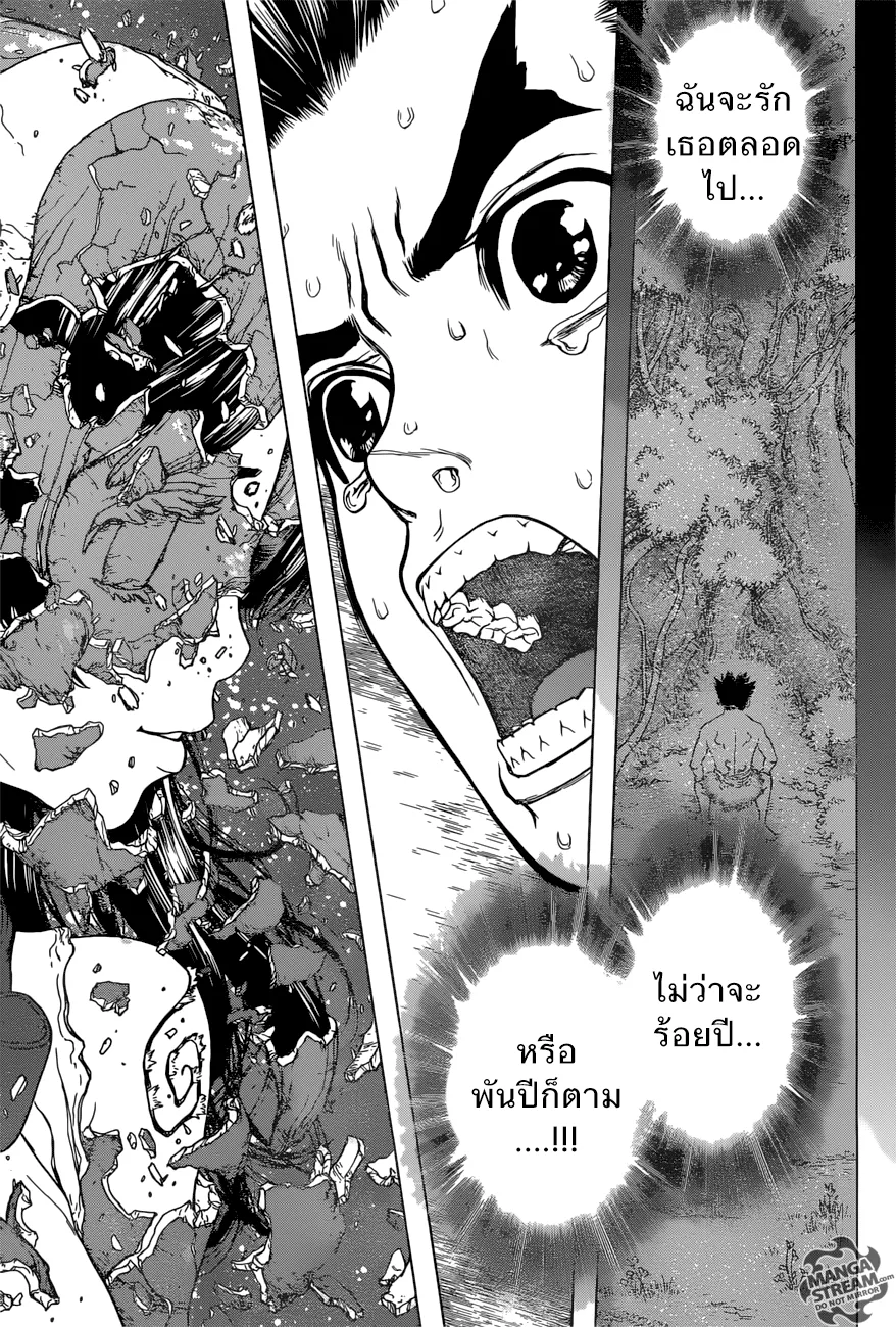 Dr. Stone - หน้า 13