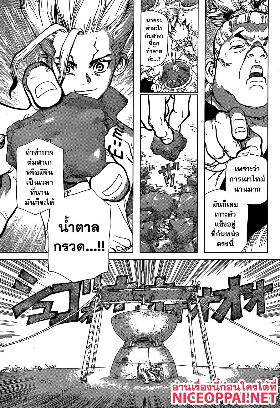 Dr. Stone - หน้า 8