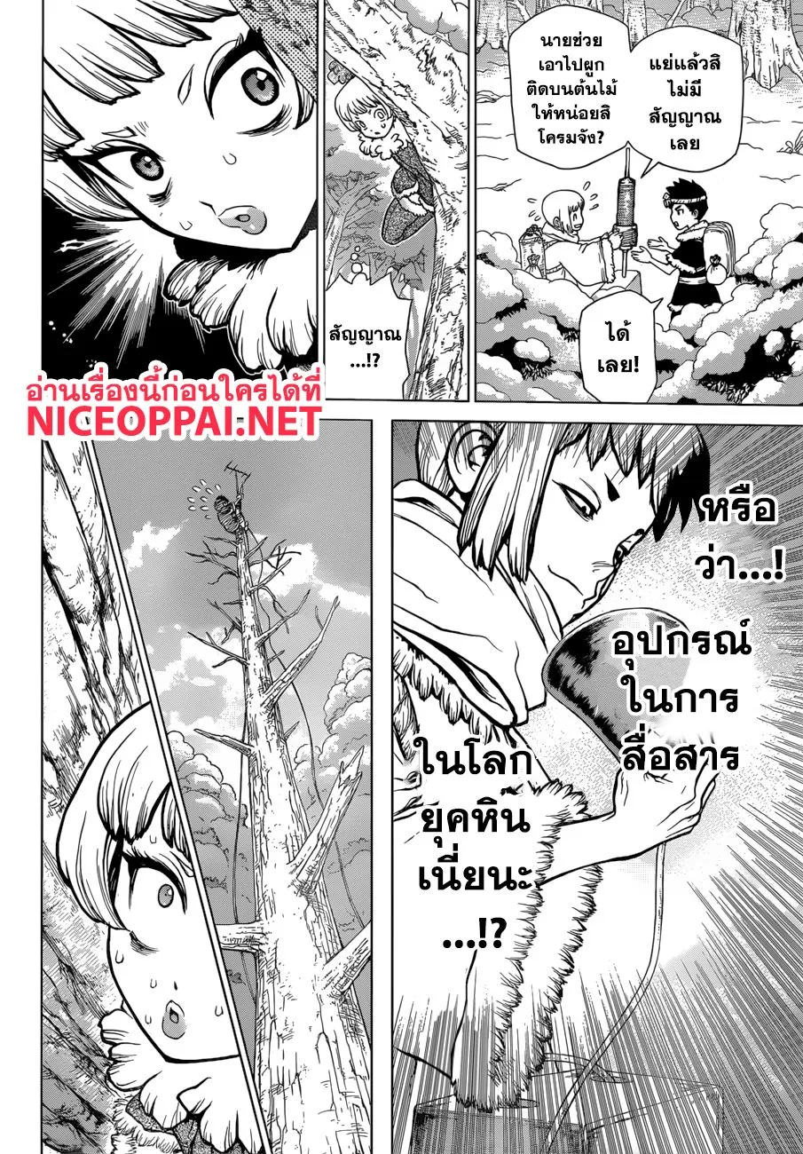 Dr. Stone - หน้า 13