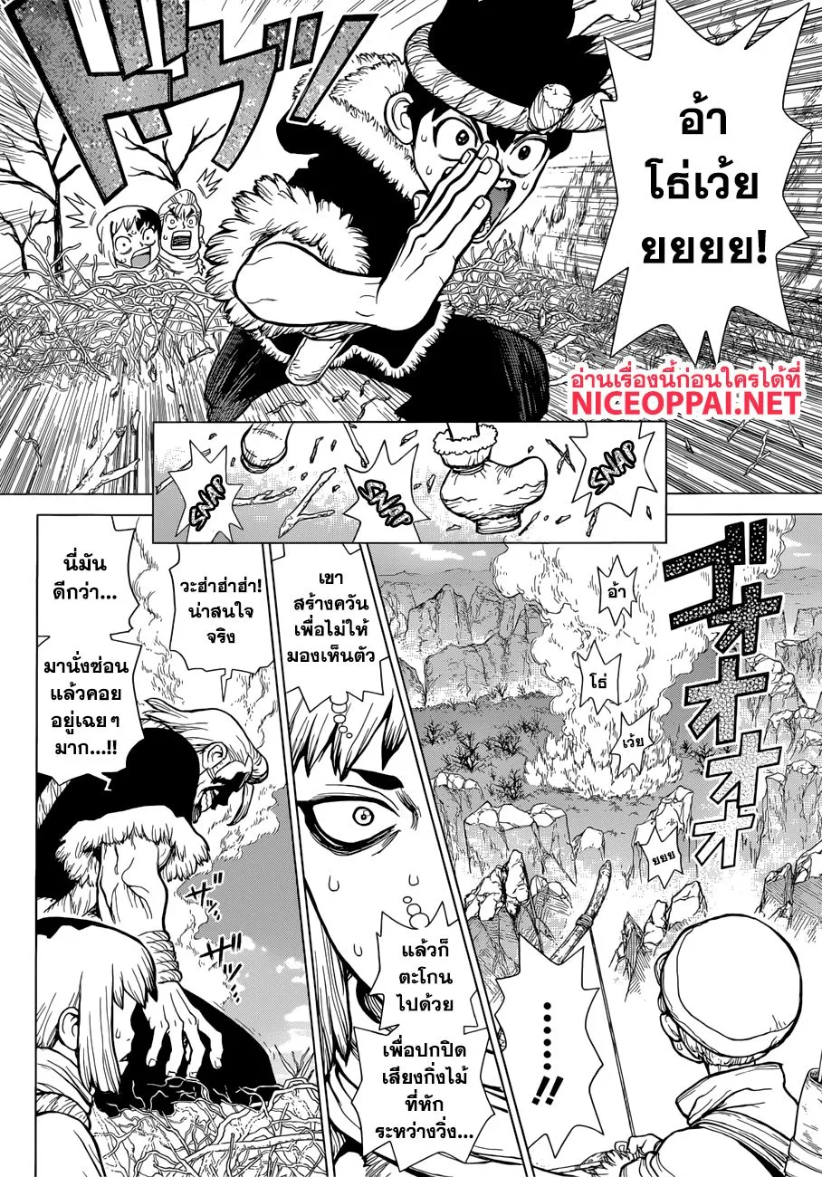 Dr. Stone - หน้า 13