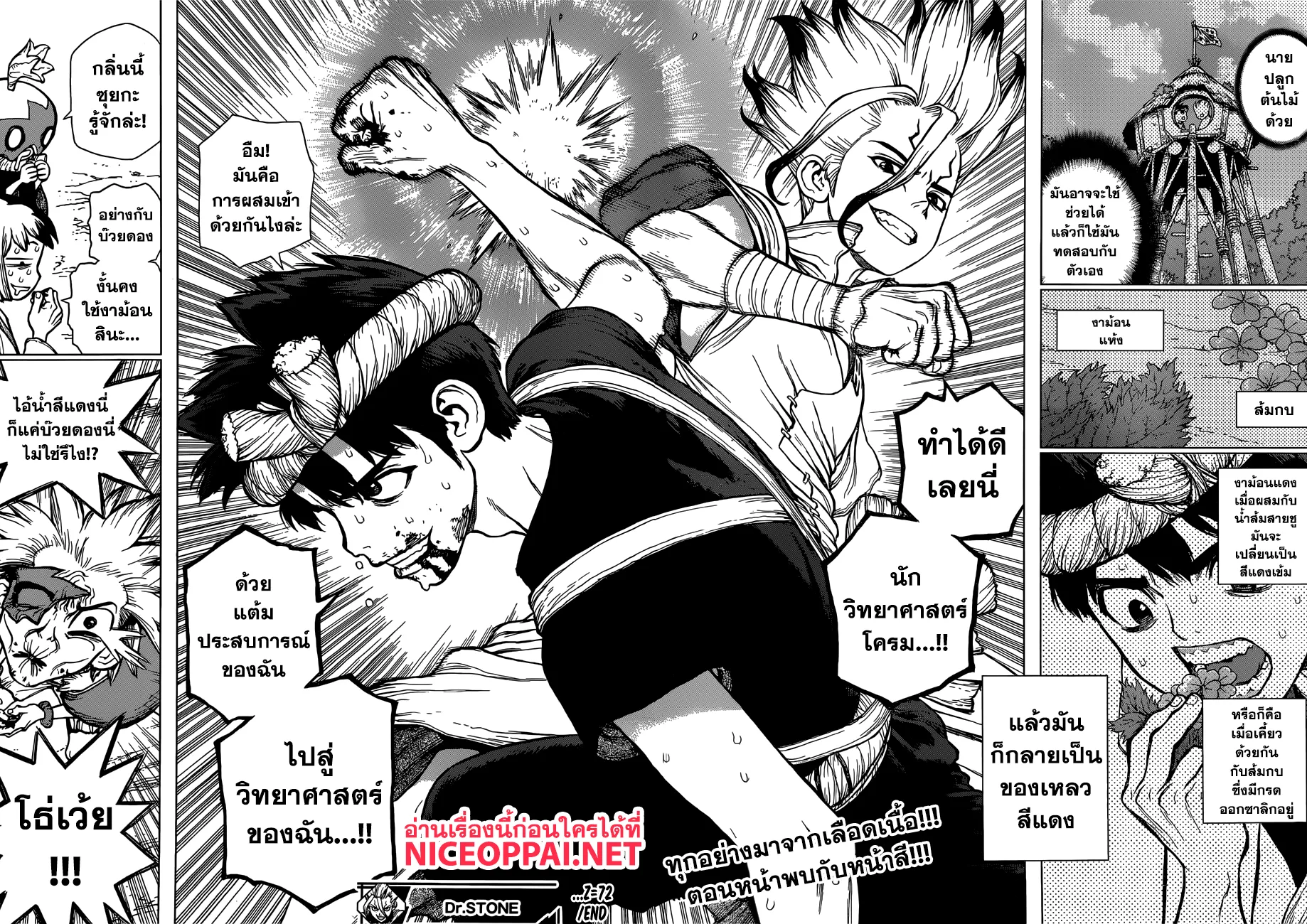 Dr. Stone - หน้า 15