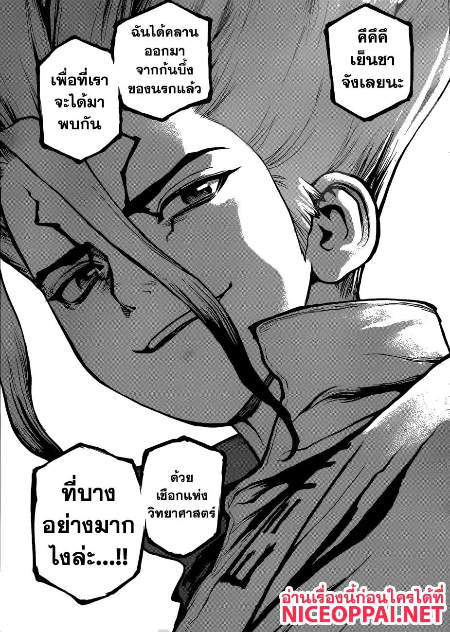 Dr. Stone - หน้า 8