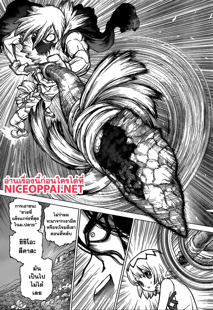 Dr. Stone - หน้า 14