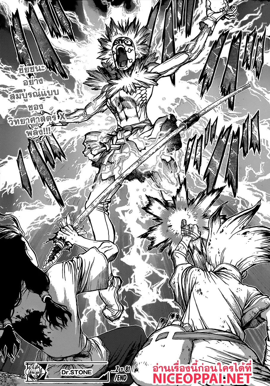 Dr. Stone - หน้า 15