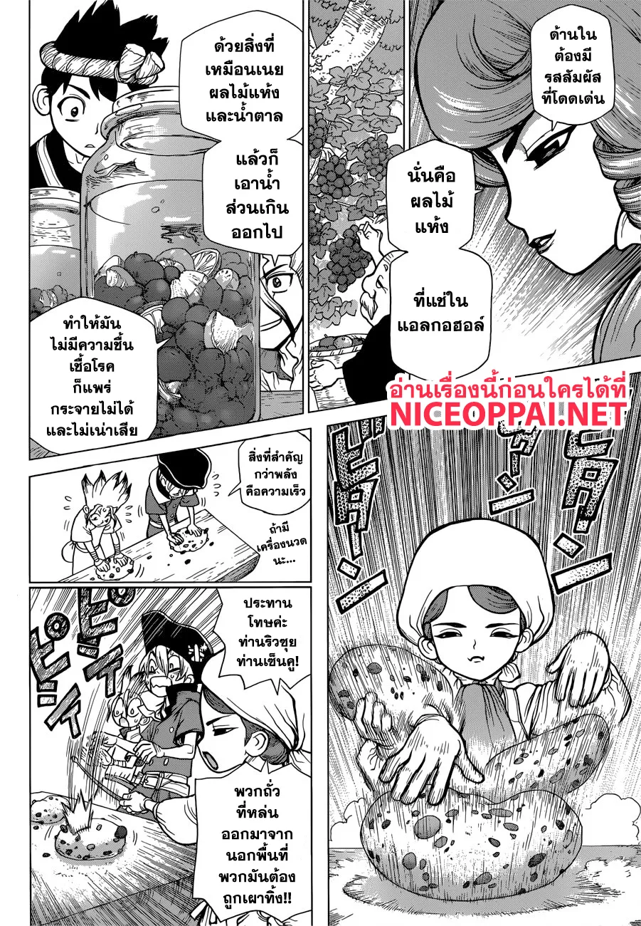 Dr. Stone - หน้า 13