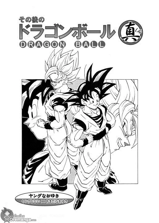 Dragon Ball After - หน้า 3