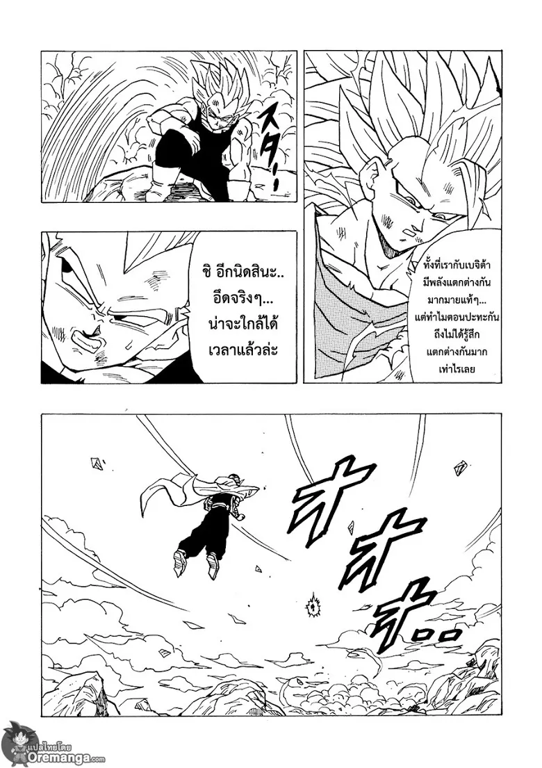 Dragon Ball After - หน้า 13