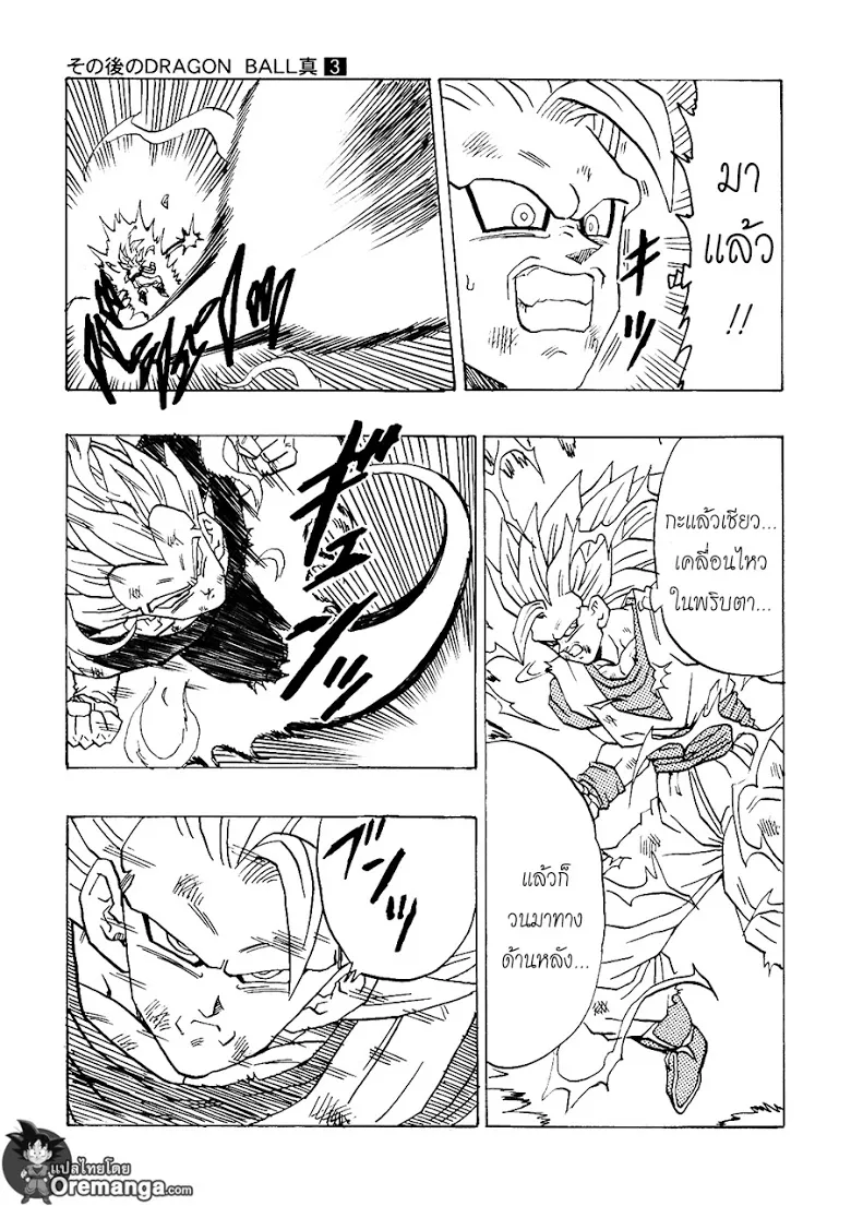 Dragon Ball After - หน้า 11