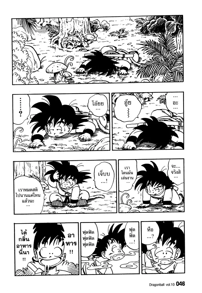 Dragon Ball - หน้า 13