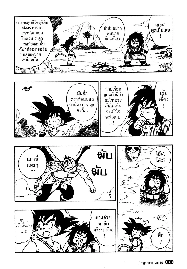 Dragon Ball - หน้า 13